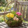 Panier en fil de fer, jardinière en métal, décoration printanière, panier de Pâques, marron, finition rouille, H 34 cm x L 30 cm | Floristik24.be