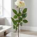 Rose artificielle, rose décorative, fleur de soie blanc crème, vert L72cm Ø12cm | Floristik24.be
