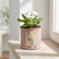 Pot de fleurs décoratif rond en métal antique rose, Ø8 cm H7,5 cm | Floristik24.be