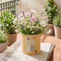 Pot de fleurs décoratif en métal, couleur abricot, décoration estivale, Ø 15,5 cm x H 15 cm | Floristik24.be