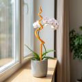 Tuteur pour orchidées, en plastique orange, support pour orchidées grimpantes, H 64 cm | Floristik24.be