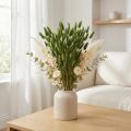 Queue de lapin (Lagurus) séchée décorative verte 50-60 cm 50 g Fleurs séchées | Floristik24.be