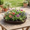 Anneau floral "Rondino", Ø35cm - 55cm, 1Pc | Floristik24.be