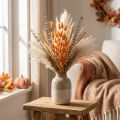 Lagurus, herbe queue de lapin séchée, abricot, fleurs séchées décoratives, 55-60 cm, 50 g | Floristik24.be