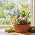 Papillons décoratifs sur fil fleurs jaune vert 6×9cm 12pcs | Floristik24.be