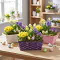 Panier à chips carré violet/blanc/rose 6 pcs | Floristik24.be