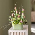 Lot de 3 pots de fleurs ovales en plastique vert, 20 x 10 x 11 cm | Floristik24.be