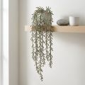 Vrille succulente suspendue verte, bronze métallique 114cm | Floristik24.be