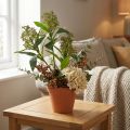 Fleurs artificielles vertes de Skimmia japonica, 45 cm, 2 pièces | Floristik24.be