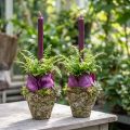 Pot de fleurs aspect forêt rustique Ø12,5cm H12cm 2pcs | Floristik24.be
