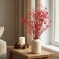 Gypsophile Gypsophile Fleurs Séchées Rouge 50cm 55g | Floristik24.be