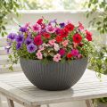 Jardinière plastique anthracite Ø35cm H16,5cm | Floristik24.be