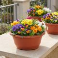 Jardinière ronde en plastique Ø27cm terre cuite 5pcs | Floristik24.be