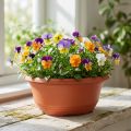 Jardinière ronde en plastique Ø23cm H10cm terre cuite 5pcs | Floristik24.be