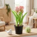 Fleurs artificielles en pot Tulipes artificielles rose jaune 22,5 cm | Floristik24.be