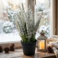 Erika blanc bruyère genêt bruyère plante artificielle H26cm | Floristik24.be