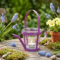 Lanterne verre arrosoir décoratif métal rose Ø14cm H13cm | Floristik24.be