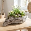 Jardinière Bac à plantes Rotin et vigne Blanchie 45×16cm | Floristik24.be