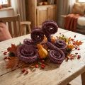 Palmier mâle rouge, blanchi à la chaux 25 pièces | Floristik24.be