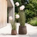 Fleurs artificielles boule décorative fleur allium oignon ornemental artificiel 54cm | Floristik24.be