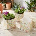 Sac cadeau sac à plantes sac cadeau à motifs 10,5 cm 8 pcs | Floristik24.be