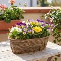 Panier de plantation ovale, motif de vigne, plateau de plantation naturel, 30 cm de long | Floristik24.be