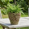Pot de fleurs rustique aspect mousse Ø17cm H16,5cm | Floristik24.be