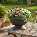 Bol avec base anthracite Ø30cm | Floristik24.be