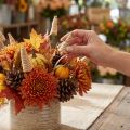 Cône de canne naturel 25 pièces | Floristik24.be
