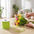 Fil enroulé 50 m vert pomme | Floristik24.be