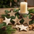 Noix de coco Star Nature 5cm 50pcs | Floristik24.be