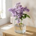 Vase en verre transparent cylindrique Ø12cm H20cm | Floristik24.be