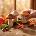 Champignons décoratifs en bois, marron, beige, orange, Ø 7,5 cm, H 10 cm, lot de 3 | Floristik24.be