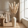 Décoration sèche herbe de pampa séchée blanchie 70-75cm 6 pcs | Floristik24.be