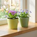Pot en papier, mini cache pot, cache pot bleu/vert Ø9cm H7.5cm 4pcs | Floristik24.be