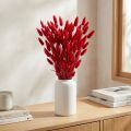 Queue de lapin (Lagurus) rouge séchée 60 cm 50 g Décoration florale séchée | Floristik24.be