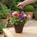 Panier avec anse, panier de plantation rustique Ø24×H18cm | Floristik24.be