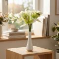 Orchidées artificielles fleurs artificielles dans un vase blanc/vert 28cm | Floristik24.be