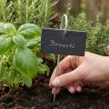 Plaques d'ardoise naturelle bouchon panneaux végétaux noir 25cm | Floristik24.be