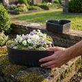 Bol coeur décoratif en plastique anthracite 24/21cm lot de 2 | Floristik24.be