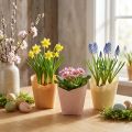 Jardinière papier tressé vanille, orange, rose Ø7cm H13cm 12 pcs | Floristik24.be