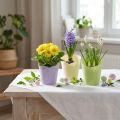 Cache-pot jardinière tressée papier vert, jaune, violet Ø7cm H13cm 12pcs | Floristik24.be