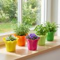 Jardinière pour plantes en pot, couleurs assorties. Ø10,5cm 10 pièces | Floristik24.be