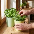 Cache-pot en papier, jardinière, pot à herbes bleu/vert Ø15cm H13cm 4pcs | Floristik24.be