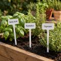 Etiquettes de plantes échangeables Inclinées Blanc 32cm 10pcs | Floristik24.be