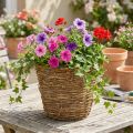 Panier à plantes grimpantes Ø25cm H22,5cm, pot de fleurs naturel | Floristik24.be