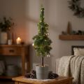 Sapin pointu en pot Sapin de Noël artificiel Ø12cm H70cm | Floristik24.be