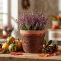 Polaire 8cm 25m marron | Floristik24.be