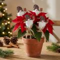 Piquets pots de fleur Gnome de Noël avec cadeau 7cm 12pcs | Floristik24.be