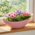 Bol à fleurs en plastique pour bateau à plantes rose 28×9×9cm 3pcs | Floristik24.be